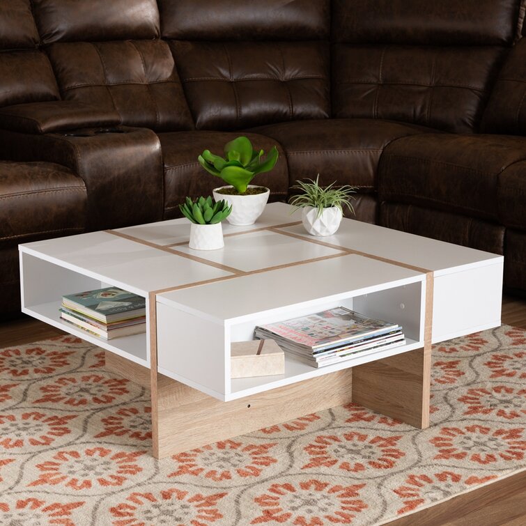 Latitude Run Abstract Coffee Table With Storage Wayfair Canada